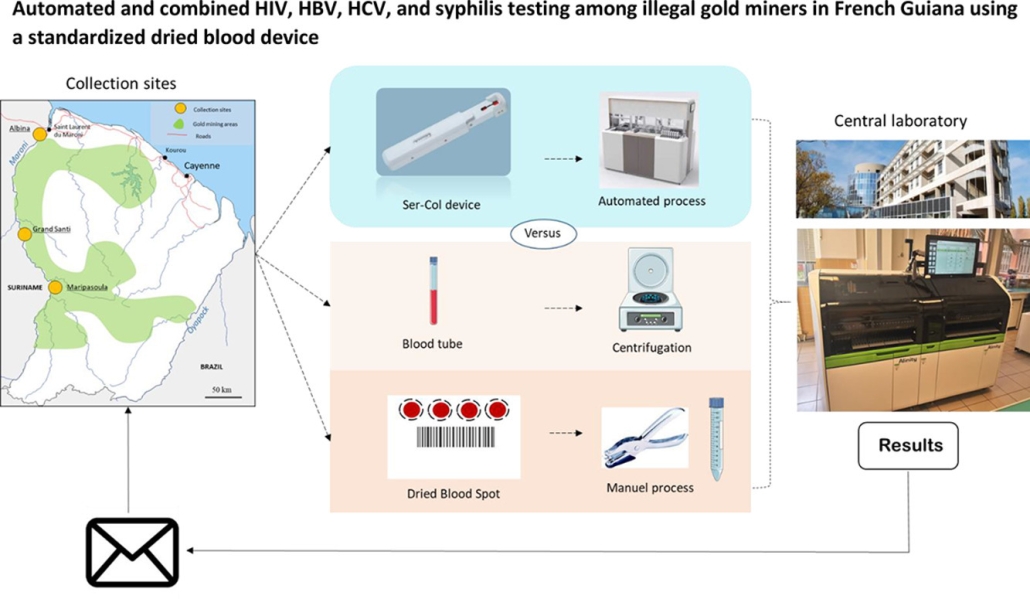 Automated and combined HIV, HBV, and syphilis testing among illegal gold miners in French Guiana using a standardized dried blood device
